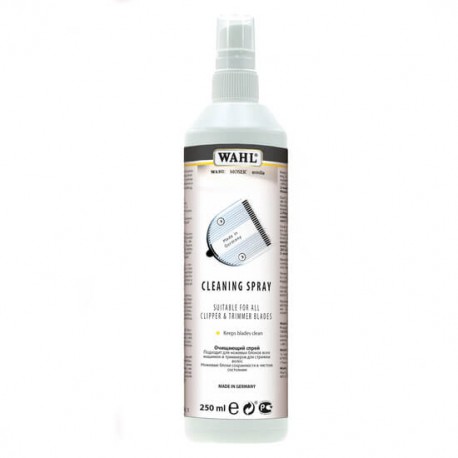 CLEANING SPRAY 250ML